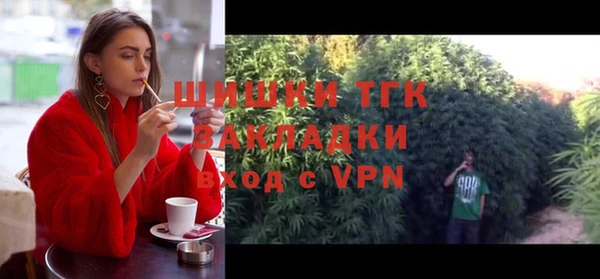 стаф Бородино