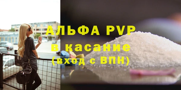 стаф Бородино