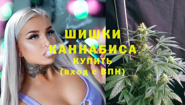 стаф Бородино