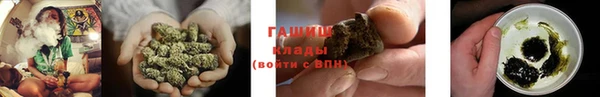 стаф Бородино