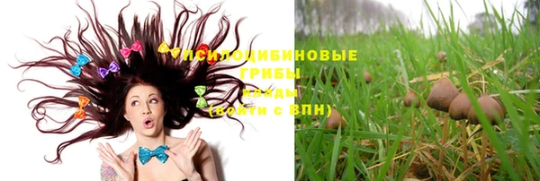 ГАЛЛЮЦИНОГЕННЫЕ ГРИБЫ Бугульма
