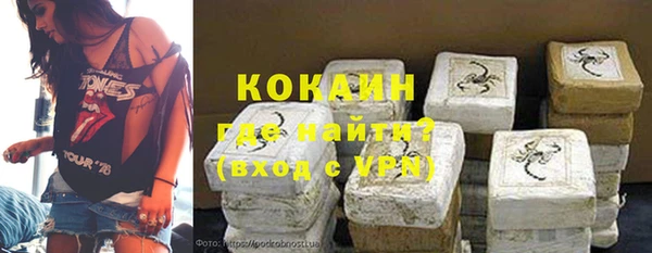стаф Бородино