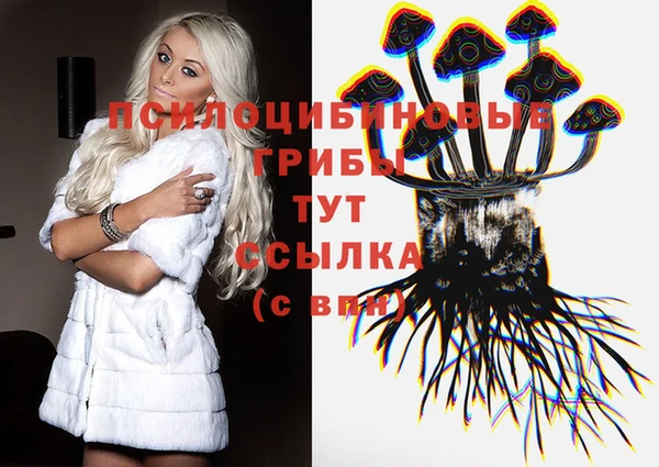 ГАЛЛЮЦИНОГЕННЫЕ ГРИБЫ Бугульма