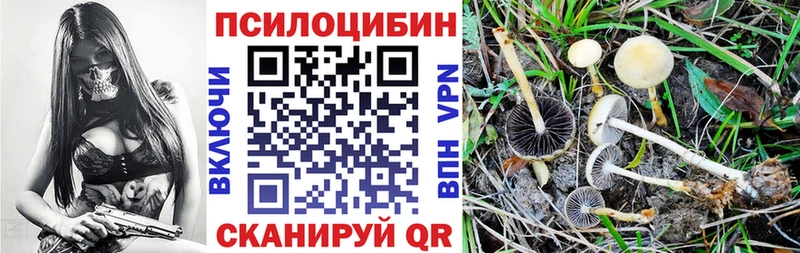 Псилоцибиновые грибы GOLDEN TEACHER  Юхнов 